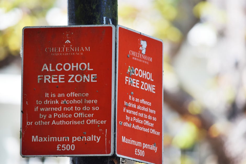 A close-up photograph of two red Cheltenham Borough Council 'Alcohol Free Zone' signs mounted on a black metal pole in an outdoor setting. The signs display white text indicating that drinking alcohol