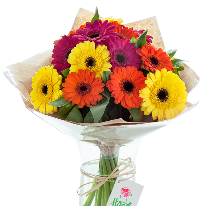 Standing elegantly against a crisp white background, this vibrant bouquet of Gerbera daisies glows with the lively charm of Mottingham. The ensemble is composed of large, vivid blooms in shades of canary yellow, zesty orange, and deep magenta, each daisy defined by an almost black centre that draws focus and highlights the petals' intense hues. Cool green leaves weave through the bouquet, offering natural balance and echoing the lushness found in local green spaces like Marvels Wood. Carefully wrapped in rugged kraft paper for an artisan finish, the bouquet is further encased in protective clear cellophane, flaring out gracefully above the glass vase. Fresh stems are on full display, refreshed by pure water, their bases bound neatly with a piece of textured twine threaded through a petite white tag marked with a classic red rose. The arrangement radiates celebratory joy and considered design, suitable for everything from impromptu gifts to more formal occasions in Mottingham. The balance of rustic and contemporary elements speaks to the neighbourhood's blend of tradition and vibrancy; each flower telling a small story rooted in community and the everyday pleasure of gifting something beautiful.
